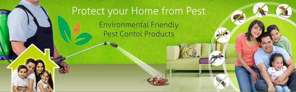 Residential Pest Control in Kolkata