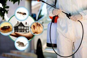 Residential Pest Control in Kolkata